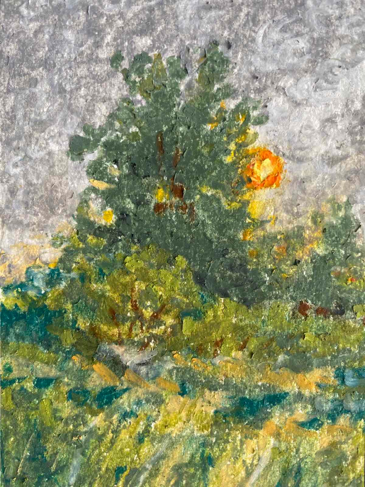 Citrus, Late Morning